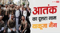 D कंपनी पानी कम चाय…कैसे काम करता है जापान का 'याकूजा गैंग'?
