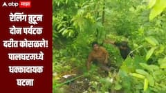 रेलिंग तुटून दोन पर्यटक दरीत कोसळले, पालघरच्या जव्हारमधील दाभोसा धबधब्यावर धक्कादायक घटना 