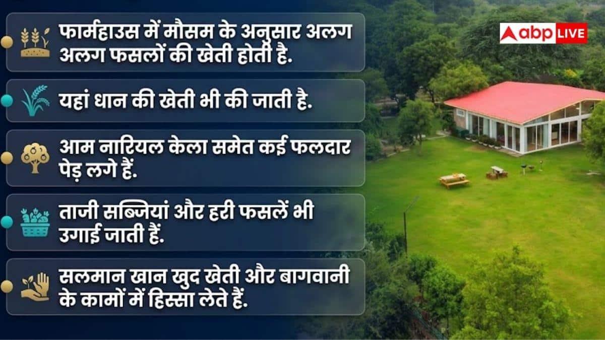 सलमान खान के पास कितनी खेती, क्या-क्या बोते हैं भाईजान?