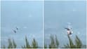 Two Firefighting Helicopters Collide As Greece Battles Massive Wildfires; 100+ Homes Destroyed | Video