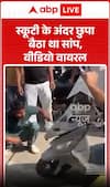 Viral Video: स्कूटी के अंदर छिपा बैठा था सांप, वीडियो वायरल होने से मचा हड़कंप!