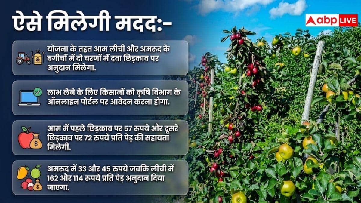 बागवानी किसानों को राहत, आम-लीची-अमरूद के पेड़ों पर मिलेगी सब्सिडी