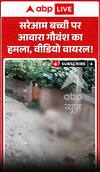 Viral Video: Stray Cattle Attacks Young Girl in Broad Daylight, Shocking Video Goes Viral!