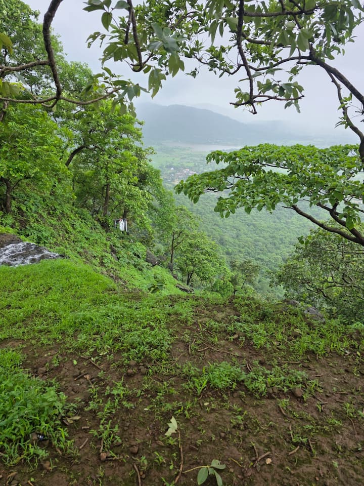 ज्येष्ठ नागरिक असलेले पर्यटक भरकटले अन त्यांची कार थेट दरीत कोसळली, सुदैवाने 50 फूट अंतरावर ही कार झाडांमुळे अडकली. महामार्ग पोलिसांनी तातडीने घटनास्थळी धाव घेतली अन् अर्धा तासांच्या थरारानंतर पर्यटकाची सुखरुप सुटका करण्यात आली.