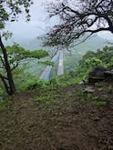 देव तारी त्याला कोण मारी... मिसिंग लिंकजवळ खोल दरीत कोसळली कार; झाडाला अडकल्याने बचावला ड्रायव्हर
