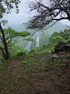 देव तारी त्याला कोण मारी...  मिसिंग लिंकजवळ खोल दरीत कोसळली कार; झाडाला अडकल्याने बचावला ड्रायव्हर