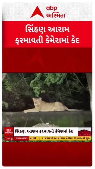Junagadh Lion : સિંહણ આરામ ફરમાવતી કેમેરામાં કેદ
