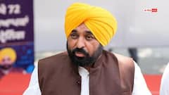 पंजाब में सरकारी कर्मचारियों के लिए बड़ी खबर, DA मामले पर HC का यह आदेश