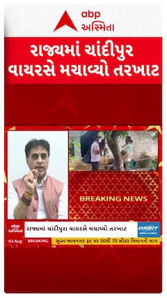 Chandipura Virus: રાજ્યમાં ચાંદીપુરા વાયરસે મચાવ્યો તરખાટ, અત્યાર સુધીમાં 22 બાળકોના મોત