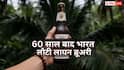 60 साल बाद भारत आई ब्रिटेन की मशहूर लायन बीयर, कितनी है इसकी कीमत?