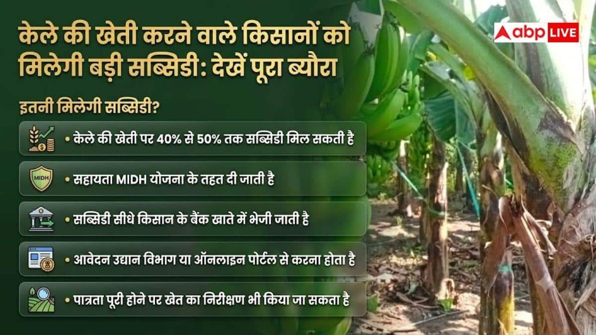 केले की खेती के लिए सरकार दे रही इतने पैसे