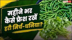 हरी मिर्च-धनिया 1 महीने तक नहीं होंगे खराब, अपनाएं यह छोटी सी ट्रिक