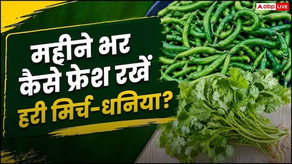 Store Green Chillies: हरी मिर्च-धनिया 1 महीने तक नहीं होंगे खराब, अपनाएं यह छोटी सी ट्रिक Store Green Chillies: हरी मिर्च-धनिया 1 महीने तक नहीं होंगे खराब, अपनाएं यह छोटी सी ट्रिक