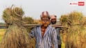 Government Schemes for Farmers:  एक साथ कितनी योजनाओं का लाभ उठा सकता है किसान, क्या है नियम?
