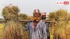 Government Schemes for Farmers:  एक साथ कितनी योजनाओं का लाभ उठा सकता है किसान, क्या है नियम?