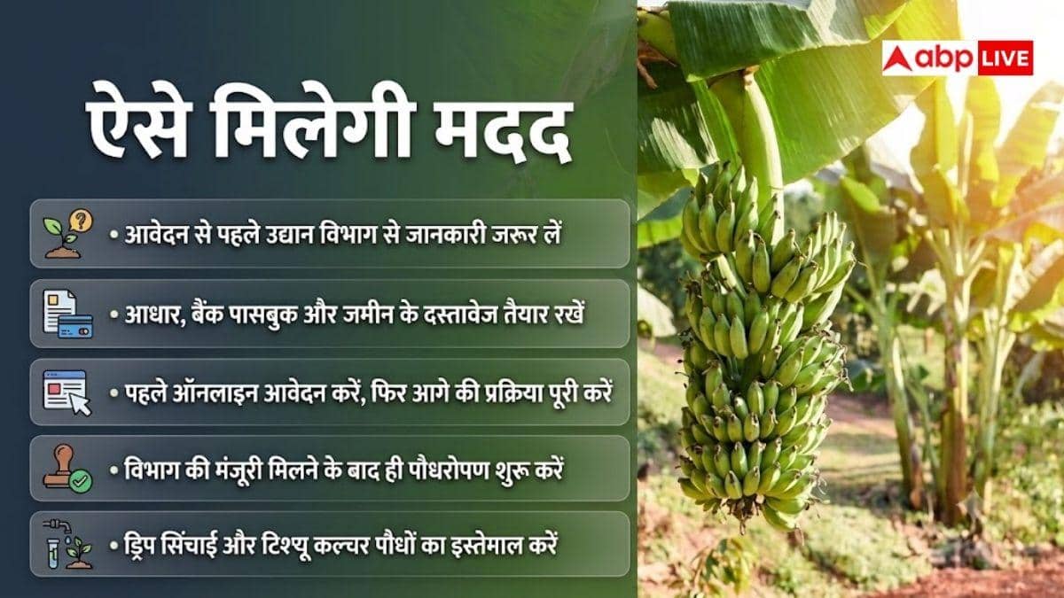 केले की खेती के लिए सरकार दे रही इतने पैसे