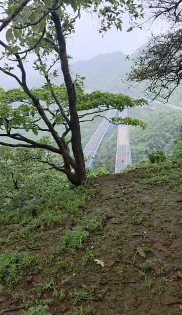 पोलिसांनी स्थानिकांच्या मदतीने दरीत उतरून कारमध्ये अडकलेल्या जखमीला बाहेर काढलं आणि त्याचा जीव वाचवला. या अपघातात कारचालक जखमी झाले असून त्यांच्यावर उपचार सुरू आहेत. अपघातग्रस्त कार झाडाला अडकली अन्यथा थेट ही कार 'मिसिंग लिंक'वर कोसळली असती, असे सांगण्यात आले.