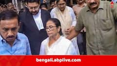 'রোজকার খরচও চালানো যাচ্ছে না', অ্যাকাউন্ট ফ্রিজ মামলার শুনানিতে জানাল 'কালীঘাট তৃণমূল', বড় সিদ্ধান্ত নিল কি এবার সুপ্রিম কোর্ট ?