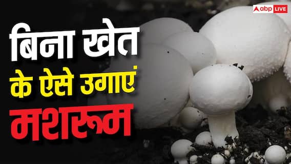 बिना खेत के भी कर सकते हैं मशरूम की खेती, जान लें इसका तरीका बिना खेत के भी कर सकते हैं मशरूम की खेती, जान लें इसका तरीका