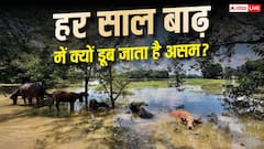 असम में बार-बार क्यों आती है बाढ़, क्यों नहीं हो पाता इसका इलाज?