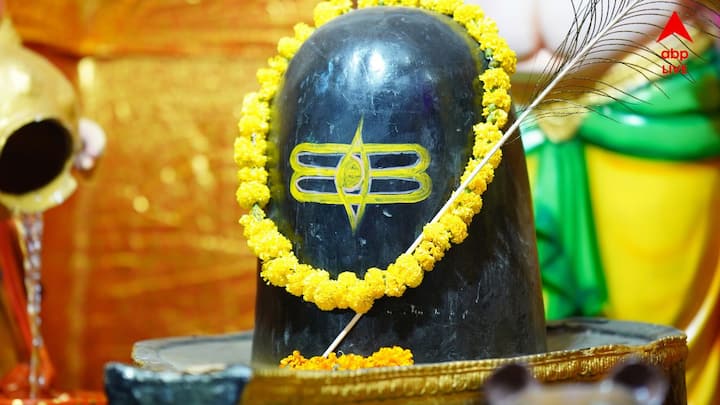 তবে মনে রাখা জরুরি, জ্যোতিষশাস্ত্র ও ধর্মীয় বিশ্বাস ব্যক্তিগত আস্থা ও প্রাচীন মতের ওপর ভিত্তি করে গড়ে উঠেছে। এগুলির বৈজ্ঞানিক প্রমাণ নেই। তাই রাশিফলকে নিশ্চিত ভবিষ্যদ্বাণী হিসেবে নয়, বরং প্রচলিত বিশ্বাস হিসেবে দেখাই শ্রেয়।