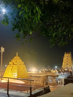 శ్రీశైలంలో ఆ మూడు రోజులు స్పర్శ దర్శనం ఉండదు!