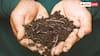 Worms  Farming Tips: खेती करने के लिए कौन-से केंचुए सबसे ज्यादा असरकार, जानें कहां से खरीदें?