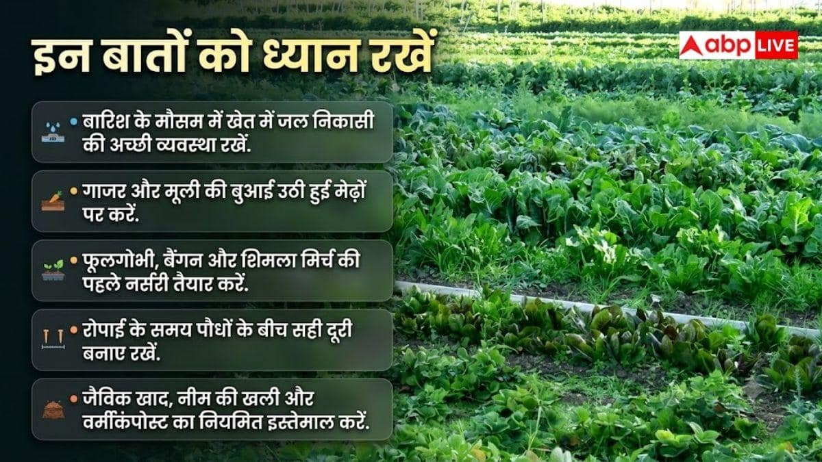 अगस्त में लगाएं ये 5 सब्जियां, होगी तगड़ी कमाई