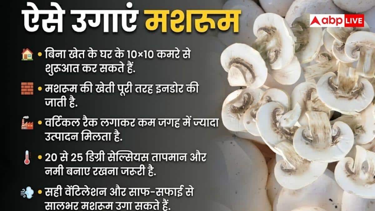 बिना खेत के भी कर सकते हैं मशरूम की खेती, जान लें इसका तरीका