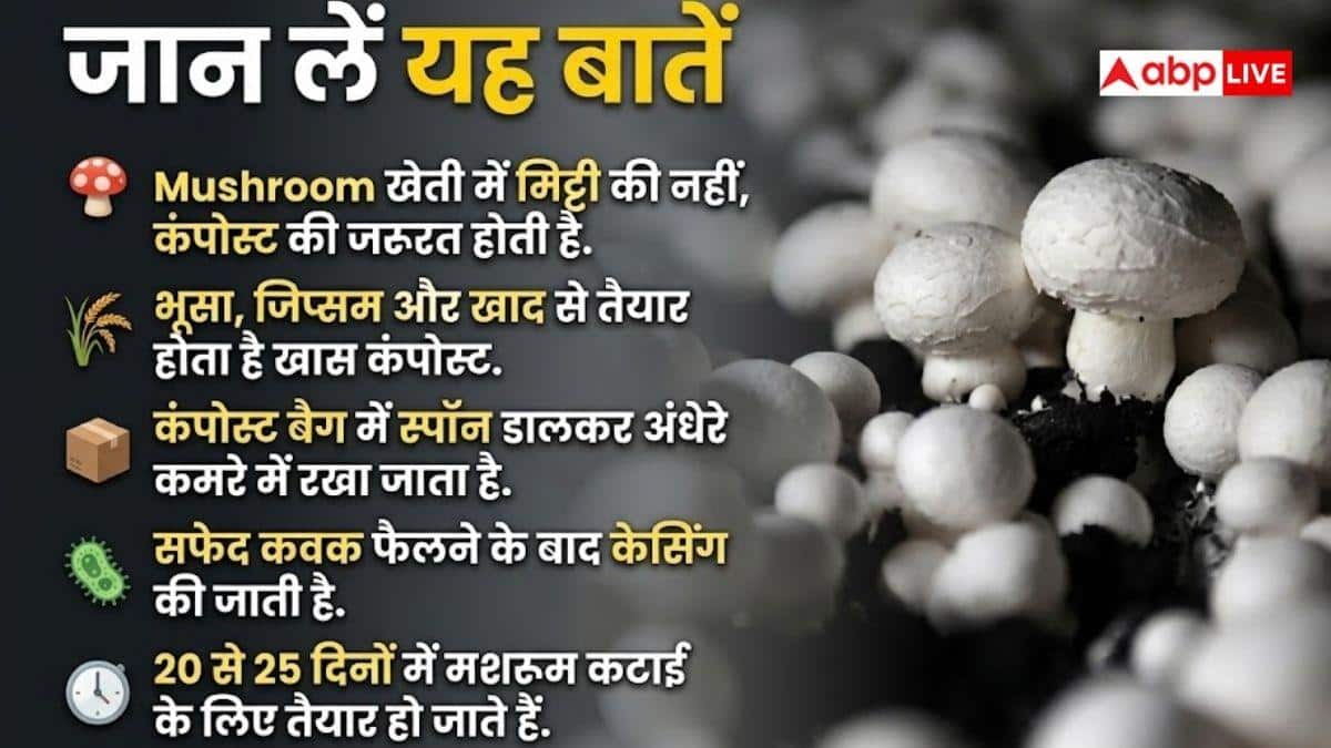 बिना खेत के भी कर सकते हैं मशरूम की खेती, जान लें इसका तरीका