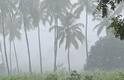 Gujarat Rain: રાજ્યના 27 જિલ્લાના 109 તાલુકામાં વરસ્યો વરસાદ, કપરાડામાં 2.5 ઈંચ 