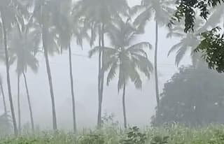 Gujarat Rain: રાજ્યના 27 જિલ્લાના 109 તાલુકામાં વરસ્યો વરસાદ, કપરાડામાં 2.5 ઈંચ 