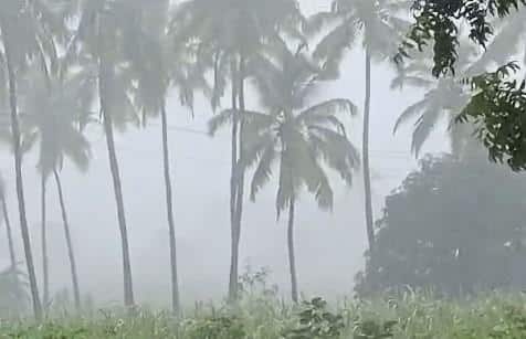 Gujarat Rain: રાજ્યના 27 જિલ્લાના 109 તાલુકામાં વરસ્યો વરસાદ, કપરાડામાં 2.5 ઈંચ 