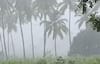 Gujarat Rain: રાજ્યના 27 જિલ્લાના 109 તાલુકામાં વરસ્યો વરસાદ, કપરાડામાં 2.5 ઈંચ 