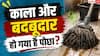 Floor Mop Cleaning Tips: क्या आपका पोछा भी जल्दी हो जाता है काला? जानें सफाई का सही तरीका