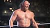 Brock Lesnar Signals WWE Retirement, Passes Torch To Oba Femi