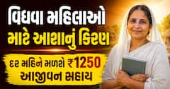 વિધવા મહિલાઓ માટે આશાનું કિરણ: દર મહિને મળશે ₹1250 આજીવન સહાય, જુઓ વિગતો