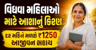 વિધવા મહિલાઓ માટે આશાનું કિરણ: દર મહિને મળશે ₹1250 આજીવન સહાય, જુઓ વિગતો