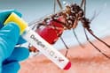 Dengue Fever Symptoms: બાળકોમાં ઝડપથી વધી રહ્યો છે ડેન્ગ્યુનો ખતરો, આ લક્ષણો પર રાખો ધ્યાન
