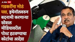 Nitin Gadkari E20 Petrol: नितीन गडकरींना हायकोर्टाचा मोठा दिलासा, E20 इंधनाबाबतचा आक्षेपार्ह मजकूर, AI व्हिडीओ हटवण्याचे आदेश