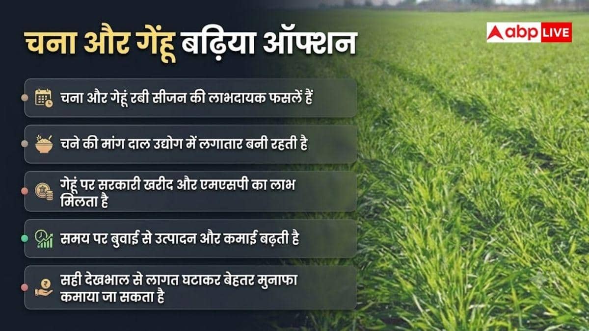 मध्यप्रदेश-राजस्थान के किसान ध्यान दें, इन फसलों में सबसे ज्यादा मुनाफा