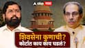 Shivsena : शिंदेंसोबत गेलेले त्यावेळचे आमदार अपात्र, त्या आधारे निवडणूक आयोग अन् राहुल नार्वेकरांचे निर्णय चुकीचे; ठाकरेंच्या वकिलांचा सडेतोड युक्तिवाद, शिवसेना कुणाची याचा निकाल लवकरच