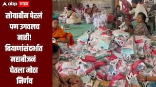 सोयाबीन पेरलं पण उगवलच नाही, तब्बल 844 हून अधिक शेतकऱ्यांच्या तक्रारी, बियाणांसंदर्भात महाबीजनं घेतला मोठा निर्णय