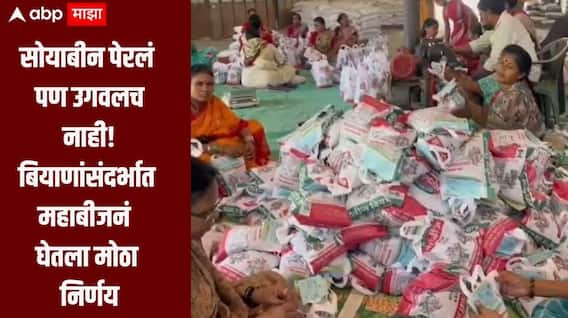 सोयाबीन पेरलं पण उगवलच नाही, तब्बल 844 हून अधिक शेतकऱ्यांच्या तक्रारी, बियाणांसंदर्भात महाबीजनं घेतला मोठा निर्णय