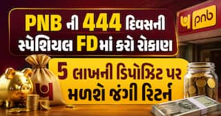 PNB ની 444 દિવસની સ્પેશિયલ FDમાં કરો રોકાણ: 5 લાખની ડિપોઝિટ પર મળશે જંગી રિટર્ન
