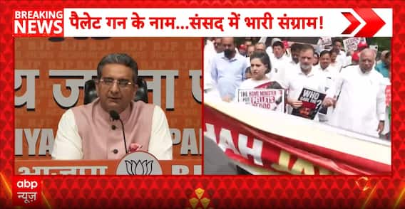 BJP Attack: Rahul Gandhi Targeted Over Parliament Disruptions, Party Calls Him 
