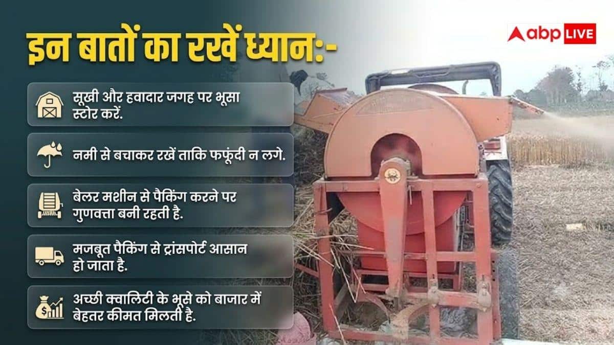 भूसे का करें बिजनेस, बढ़ जाएगा मुनाफा, किसानों के लिए काम की खबर
