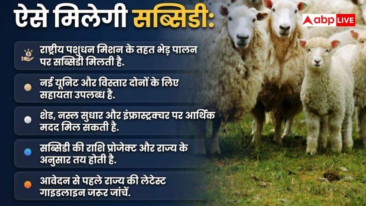 भेड़ पालन के लिए सब्सिडी कैसे मिलेगी, जान लें तरीका