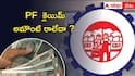 EPFO Latest News: 20 రోజులైనా PF క్లెయిమ్ అమౌంట్ రాకపోతే ఏం చేయాలి ? ఈ విషయాలు తెలుసుకుంటే బెటర్