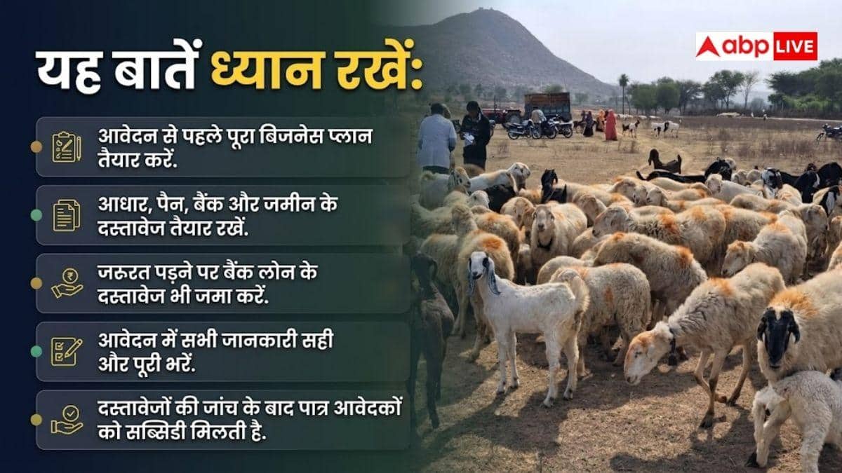 भेड़ पालन के लिए सब्सिडी कैसे मिलेगी, जान लें तरीका